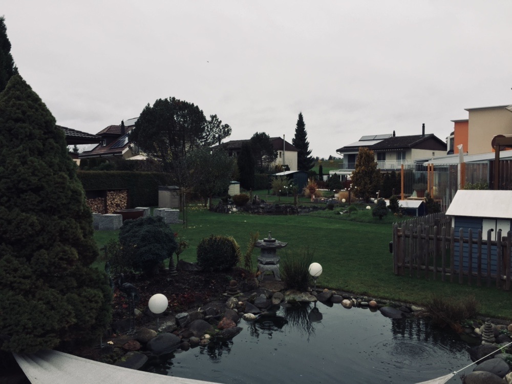 ansichtwest1